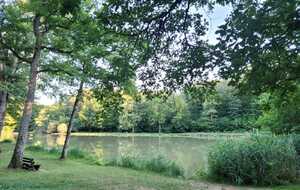 6a59eaf8b8043_picnic3.jpg