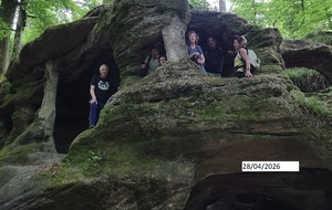 6a65c7192ff17_1000003424.jpg